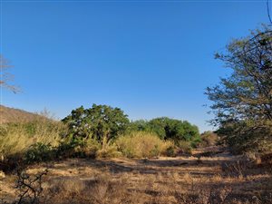 2400 m² Land available in Hoedspruit