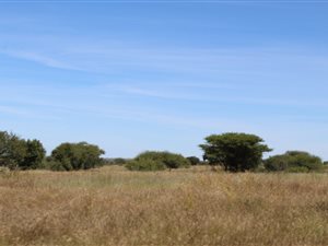 1500 ha Farm in Hertzogville