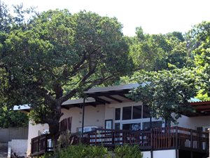 4 Bed House in Elysium
