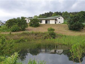 21 ha Farm in Dargle