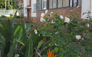 2 Bedroom Apartment in Rosebank