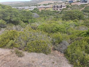 1502 m² Land available in Island View