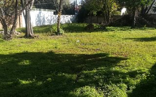 978 m² Land available in Eastleigh