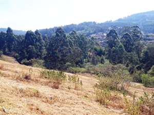 1029 m² Land available in Victoria Country Club Estate