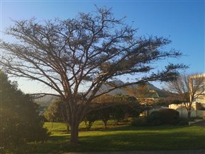 2 Bed Apartment in Rome Glen