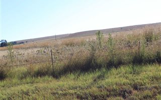 11.3 ha Land available in Drumblade AH