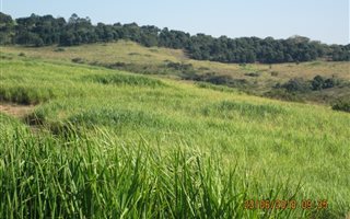 20 ha Farm in Stanger