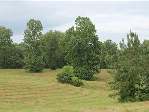 1061 m² Land available in Hurlingham