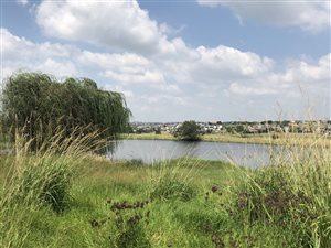 400 m² Land available in Centurion CBD