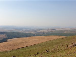 20.3 ha Farm in Dargle
