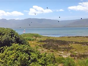 913 m² Land available in Flamingo Bay