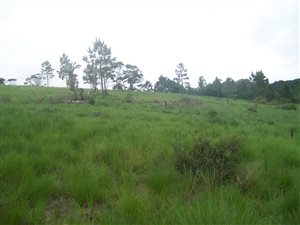 1166 m² Land available in Margate