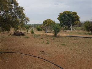 8.5 ha Farm in Grootvlei
