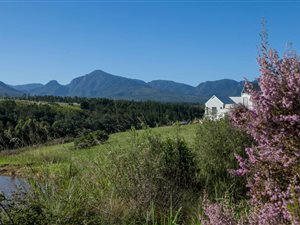 1119 m² Land available in Welgelegen Estate