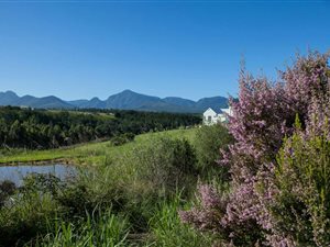 1119 m² Land available in Welgelegen Estate