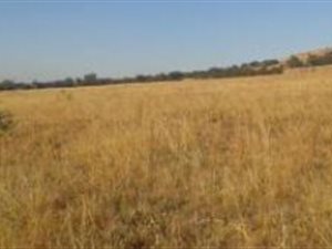 1980 m² Land available in Daleside
