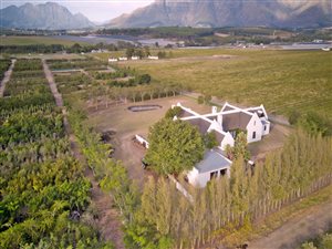9 ha Farm in Stellenbosch Agricultural