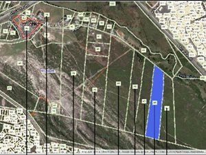 5.1 ha Farm in Macassar