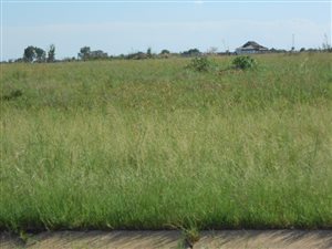 1012 m² Land available in Riversdale