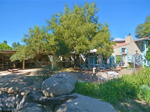 11 Bed House in President Park