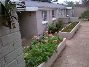 1 Bed Apartment in Scottsville
