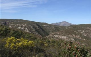 63 ha Land available in Joubertina