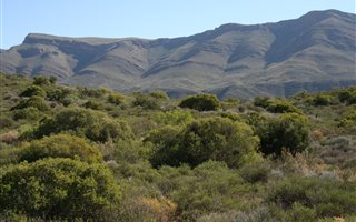 85 ha Farm in Montagu