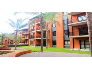 1 Bed Apartment in Melrose North