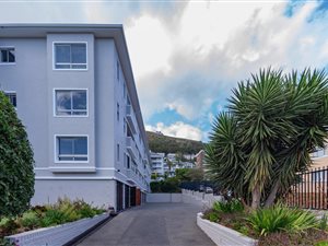 1 Bed Apartment in Green Point