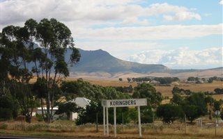 1004 m² Land available in Koringberg