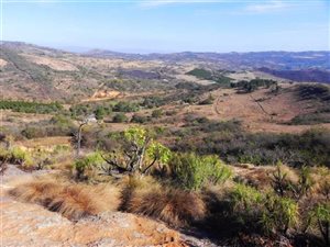 28.2 ha Farm in Sonheuwel