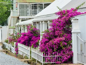 3 Bedroom House in Bedford