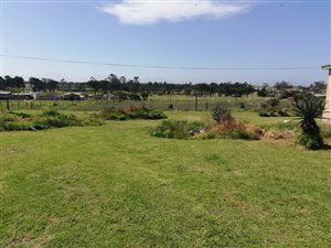 4.5 ha Farm in Albertinia