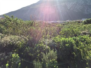 800 m² Land available in Bettys Bay
