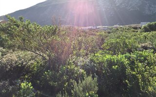 800 m² Land available in Bettys Bay