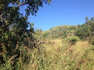 2892 m² Land available in Barberton