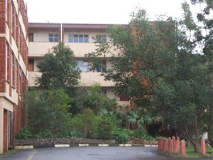 1 Bed Apartment in Fairview
