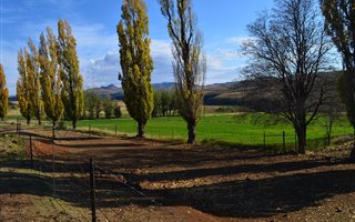 2170 ha Farm in Lady Grey
