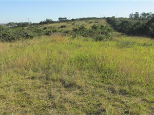 10 ha Farm in Beacon Bay