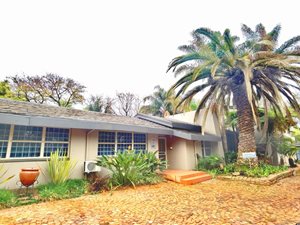528 m² Commercial space in Lynnwood Glen