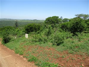 3510 m² Land available in Manderston