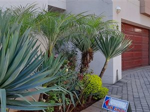 3 Bed Duplex in Oriel