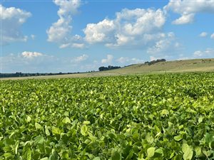 506 ha Farm in Harrismith