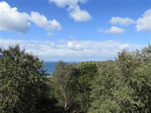 2.1 ha Land available in George Central