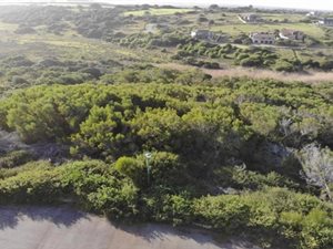 1422 m² Land available in Port Alfred