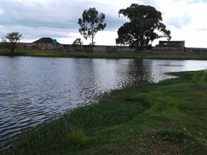 108 ha Farm in Trichardt