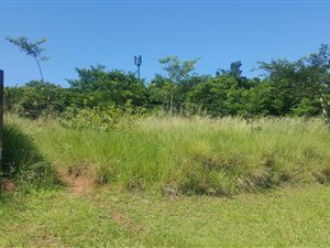 1100 m² Land available in Mtunzini