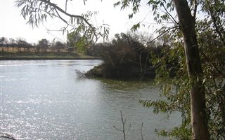 2.8 ha Land available in Bothaville