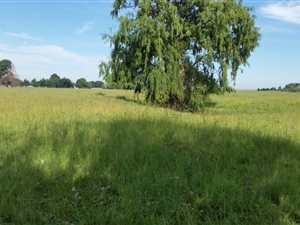 1.7 ha Land available in Heidelberg Central