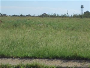990 m² Land available in Riversdale